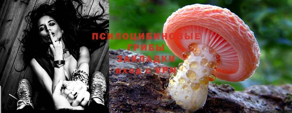 твердый Алексеевка