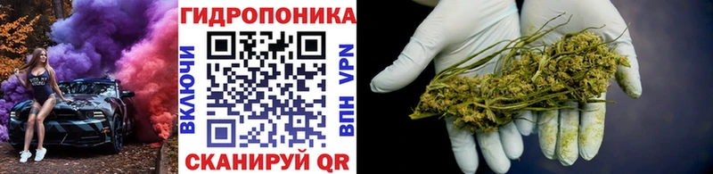 магазин продажи наркотиков  Завитинск  blacksprut ССЫЛКА  Бошки марихуана марихуана 